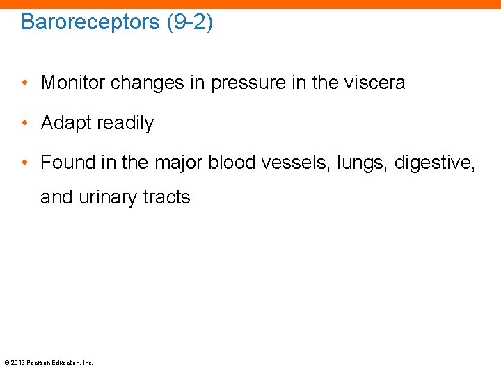 Baroreceptors (9 -2) • Monitor changes in pressure in the viscera • Adapt readily