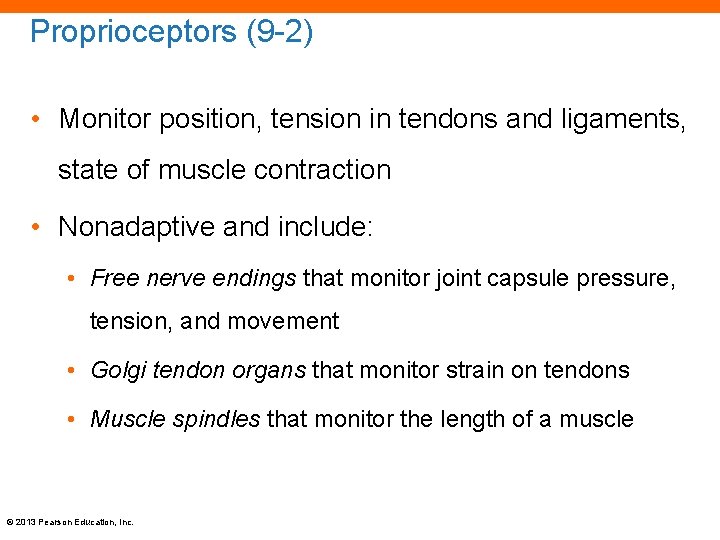 Proprioceptors (9 -2) • Monitor position, tension in tendons and ligaments, state of muscle