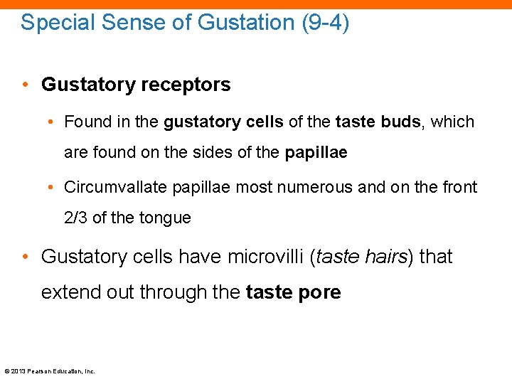 Special Sense of Gustation (9 -4) • Gustatory receptors • Found in the gustatory