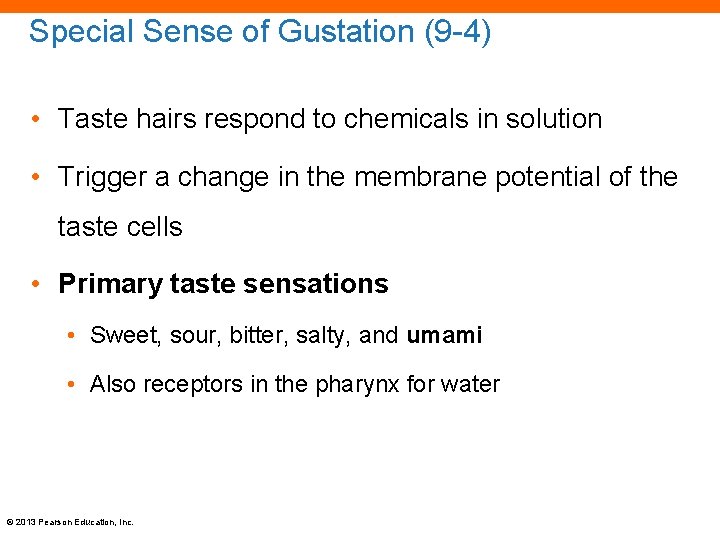 Special Sense of Gustation (9 -4) • Taste hairs respond to chemicals in solution