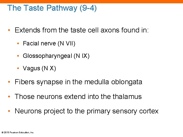 The Taste Pathway (9 -4) • Extends from the taste cell axons found in: