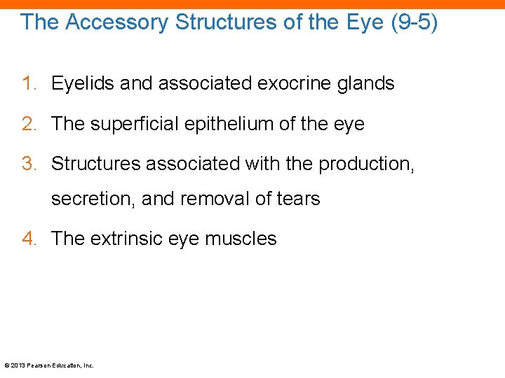 The Accessory Structures of the Eye (9 -5) 1. Eyelids and associated exocrine glands