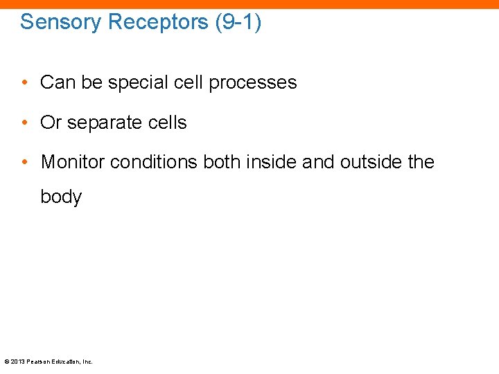 Sensory Receptors (9 -1) • Can be special cell processes • Or separate cells