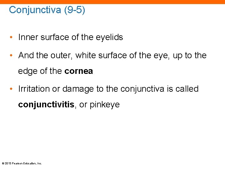 Conjunctiva (9 -5) • Inner surface of the eyelids • And the outer, white