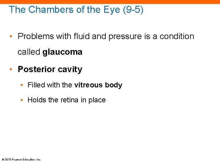 The Chambers of the Eye (9 -5) • Problems with fluid and pressure is