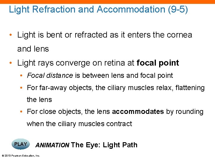 Light Refraction and Accommodation (9 -5) • Light is bent or refracted as it