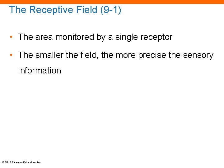 The Receptive Field (9 -1) • The area monitored by a single receptor •