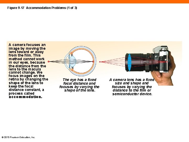 Figure 9 -17 Accommodation Problems (1 of 3) A camera focuses an image by