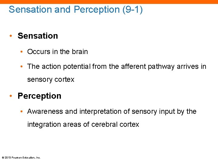 Sensation and Perception (9 -1) • Sensation • Occurs in the brain • The