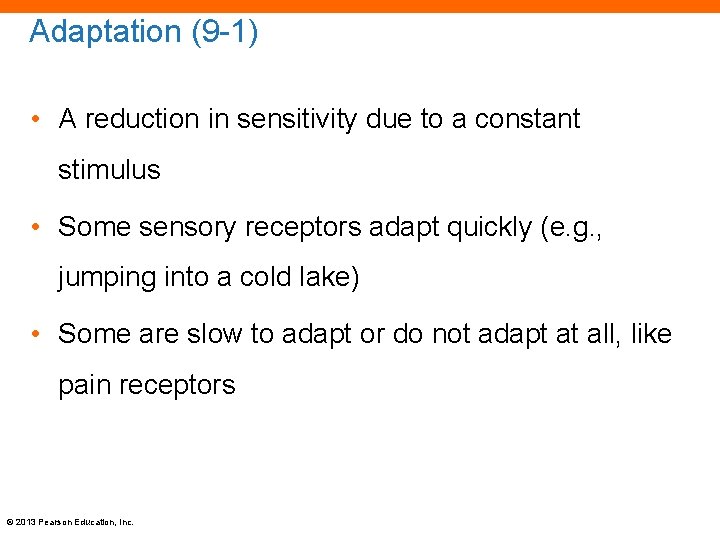 Adaptation (9 -1) • A reduction in sensitivity due to a constant stimulus •