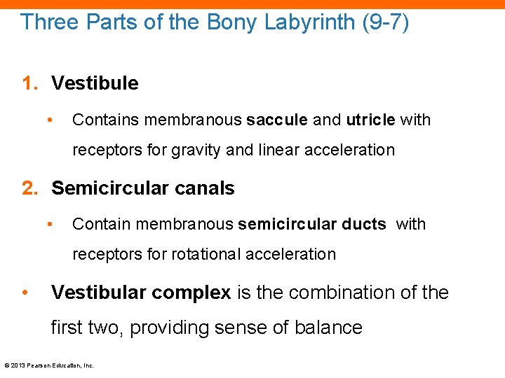 Three Parts of the Bony Labyrinth (9 -7) 1. Vestibule • Contains membranous saccule