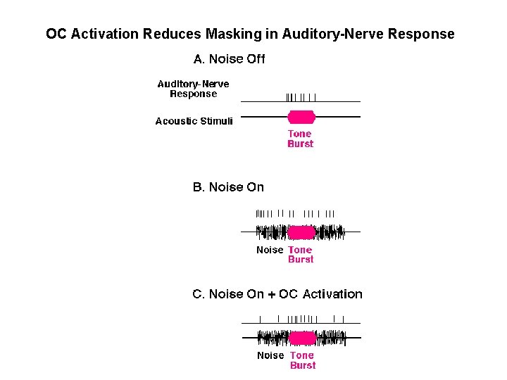 OC Activation Reduces Masking in Auditory-Nerve Response 