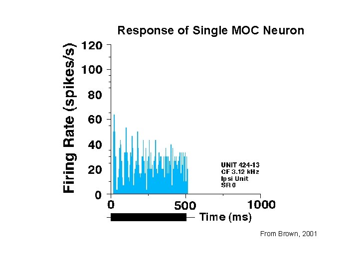 Response of Single MOC Neuron From Brown, 2001 