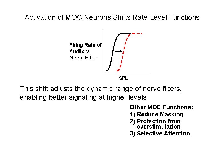 Activation of MOC Neurons Shifts Rate-Level Functions Firing Rate of Auditory Nerve Fiber SPL