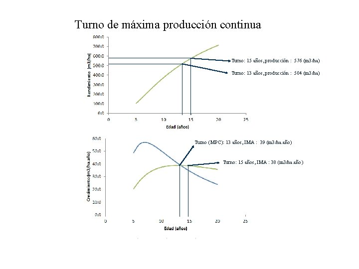 Turno de máxima producción continua Turno: 15 años, producción : 576 (m 3/ha) Turno: