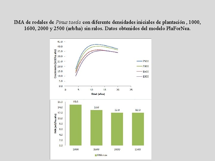 IMA de rodales de Pinus taeda con diferente densidades iniciales de plantación , 1000,