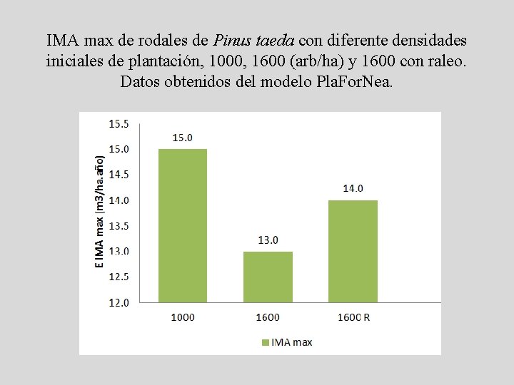 IMA max de rodales de Pinus taeda con diferente densidades iniciales de plantación, 1000,