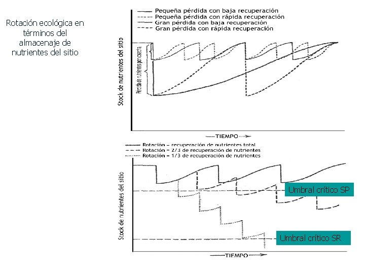 Rotación ecológica en términos del almacenaje de nutrientes del sitio Umbral crítico SP Umbral
