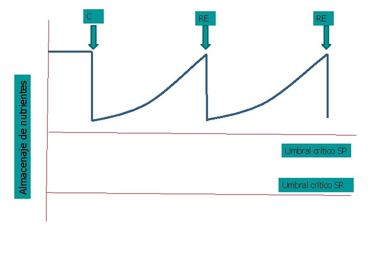 Almacenaje de nutrientes C RE RE Umbral crítico SP Umbral crítico SR 