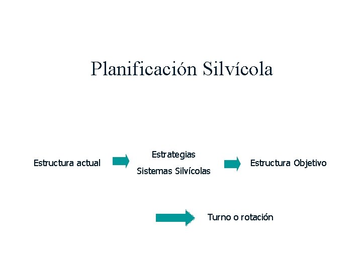 Planificación Silvícola Estructura actual Estrategias Sistemas Silvícolas Estructura Objetivo Turno o rotación 