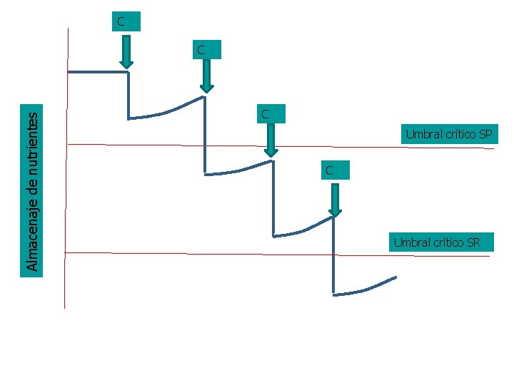 C Almacenaje de nutrientes C C Umbral crítico SP C Umbral crítico SR 