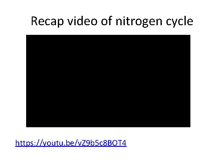 Recap video of nitrogen cycle https: //youtu. be/v. Z 9 b 5 c 8
