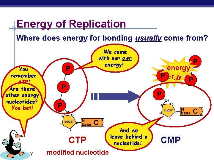 Energy of Replication Where does energy for bonding usually come from? We come with