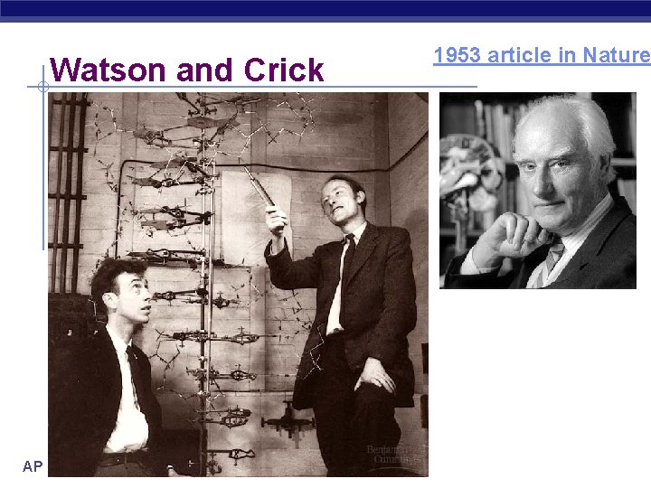 Watson and Crick AP Biology 1953 article in Nature 