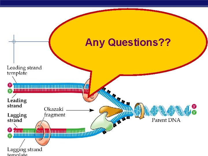 Any Questions? ? AP Biology 2007 -2008 