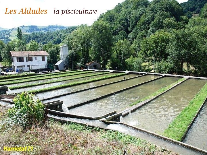 Les Aldudes la pisciculture 