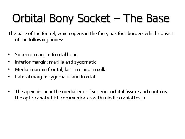 Orbital Bony Socket – The Base The base of the funnel, which opens in