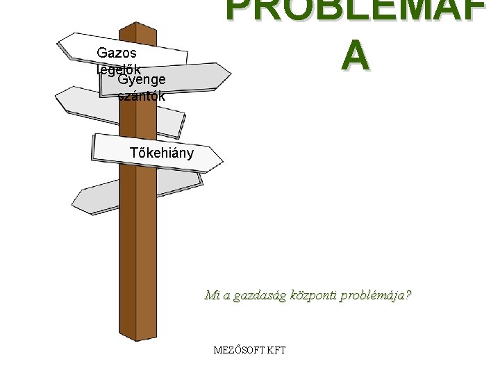 Gazos legelők Gyenge szántók PROBLÉMAF A Tőkehiány Mi a gazdaság központi problémája? MEZŐSOFT KFT