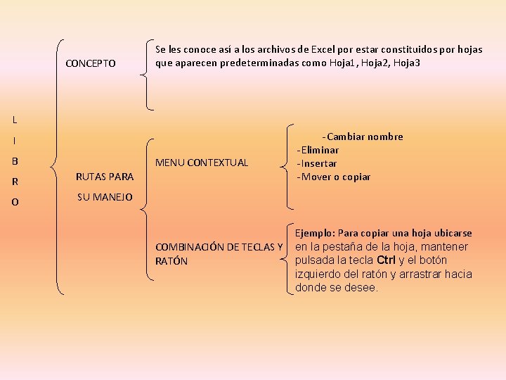 CONCEPTO Se les conoce así a los archivos de Excel por estar constituidos por