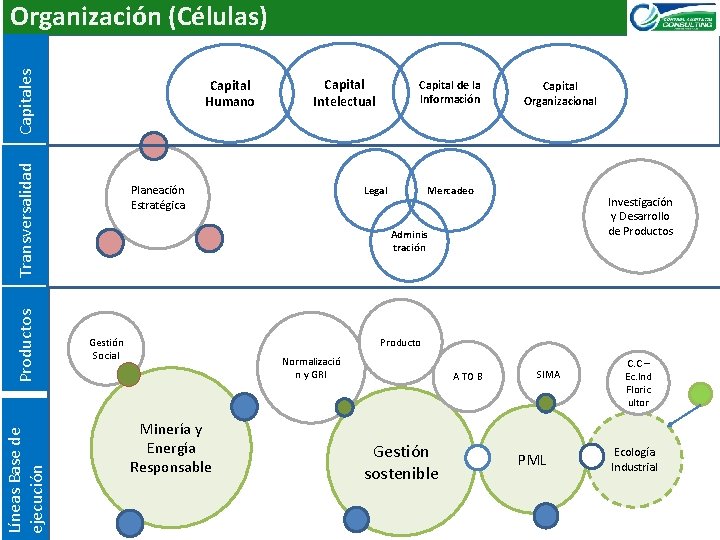 Capitales Organización (Células) Líneas Base de ejecución Productos Transversalidad Capital Humano Capital Intelectual Planeación