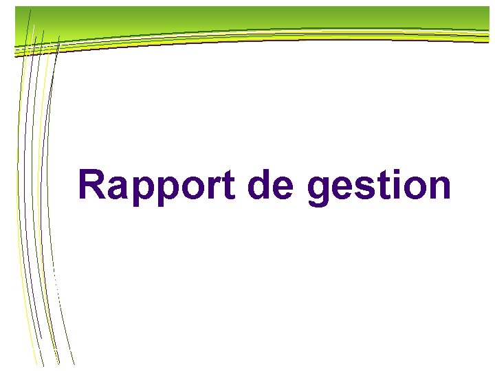 Rapport de gestion 