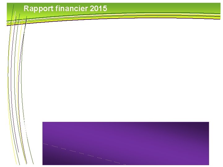 Rapport financier 2015 