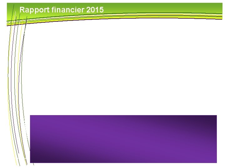 Rapport financier 2015 