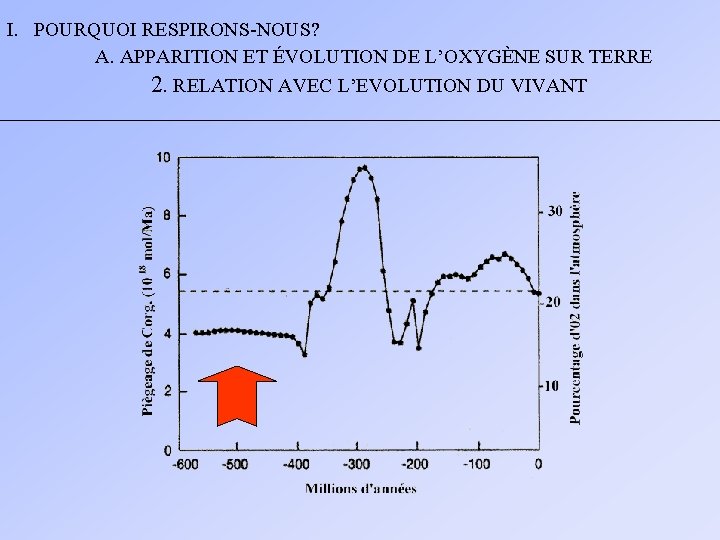 I. POURQUOI RESPIRONS-NOUS? A. APPARITION ET ÉVOLUTION DE L’OXYGÈNE SUR TERRE 2. RELATION AVEC