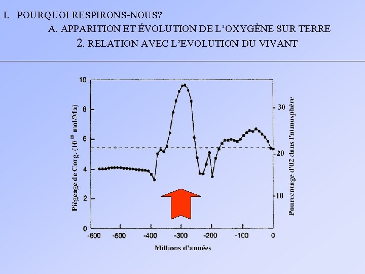 I. POURQUOI RESPIRONS-NOUS? A. APPARITION ET ÉVOLUTION DE L’OXYGÈNE SUR TERRE 2. RELATION AVEC