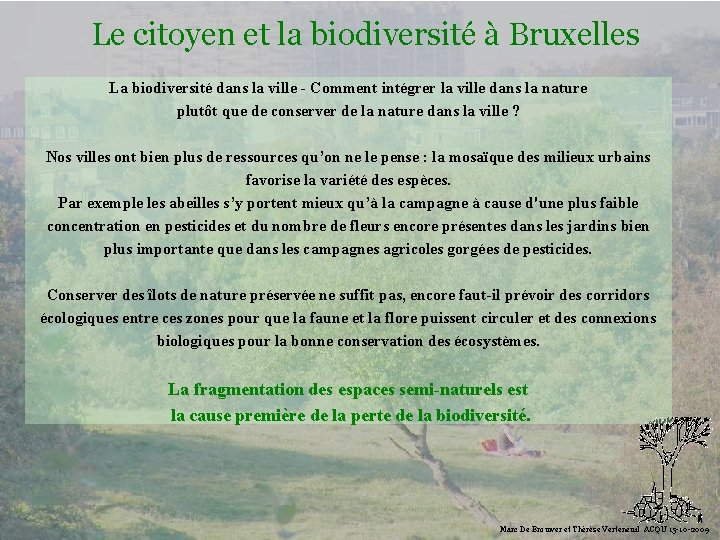 Le citoyen et la biodiversité à Bruxelles La biodiversité dans la ville - Comment