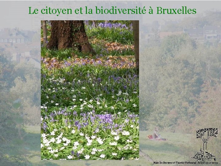 Le citoyen et la biodiversité à Bruxelles Biodiversité Marc De Brouwer et Thérèse Verteneuil