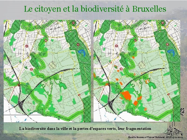 Le citoyen et la biodiversité à Bruxelles Biodiversité La biodiversité dans la ville et