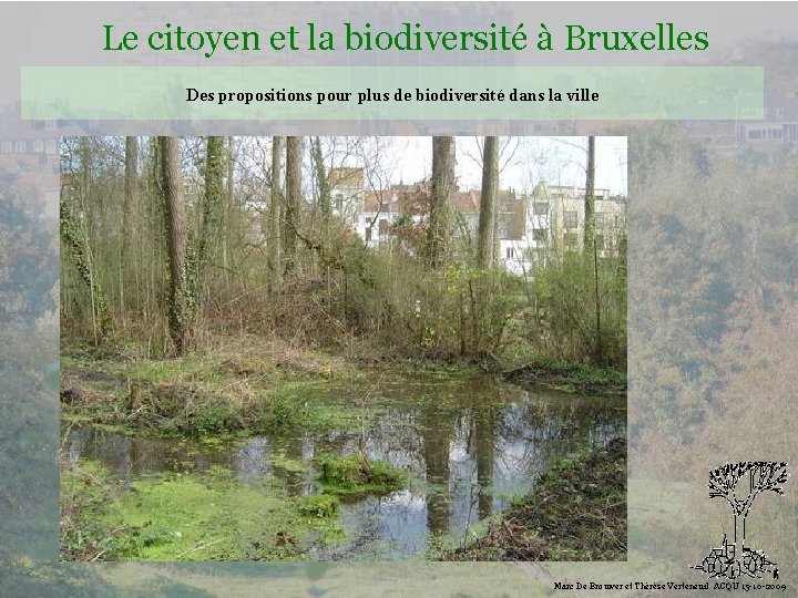 Le citoyen et la biodiversité à Bruxelles Des propositions pour plus de biodiversité dans