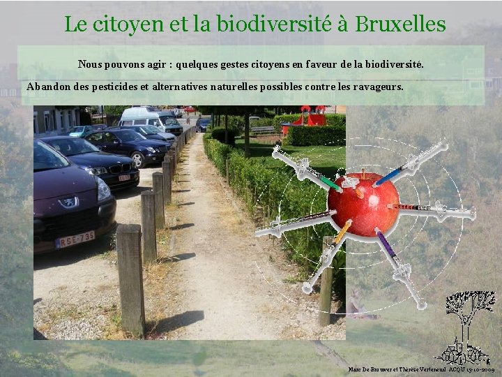 Le citoyen et la biodiversité à Bruxelles Nous pouvons agir : quelques gestes citoyens