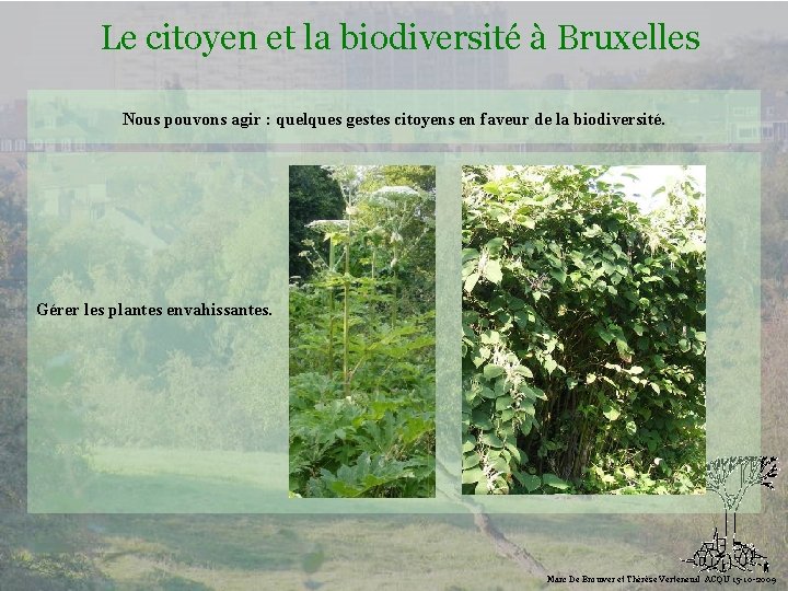 Le citoyen et la biodiversité à Bruxelles Nous pouvons agir : quelques gestes citoyens