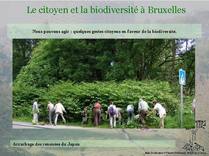 Le citoyen et la biodiversité à Bruxelles Nous pouvons agir : quelques gestes citoyens