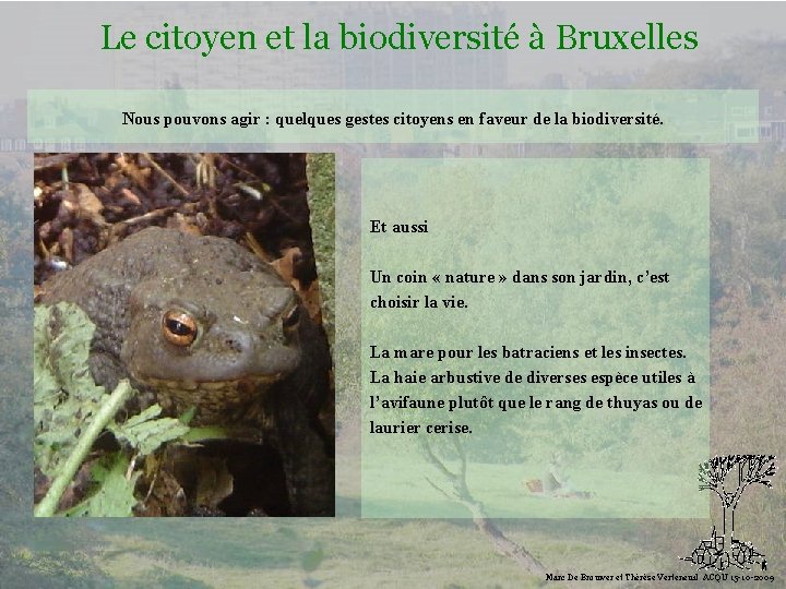 Le citoyen et la biodiversité à Bruxelles Nous pouvons agir : quelques gestes citoyens