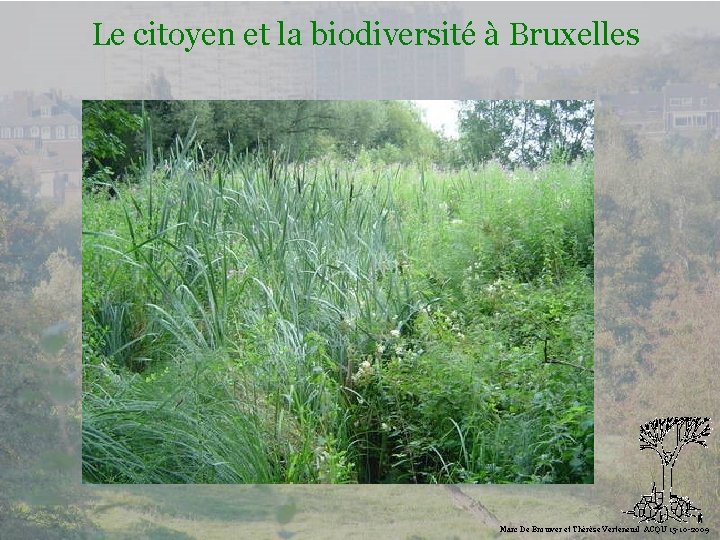 Le citoyen et la biodiversité à Bruxelles Biodiversité Marc De Brouwer et Thérèse Verteneuil