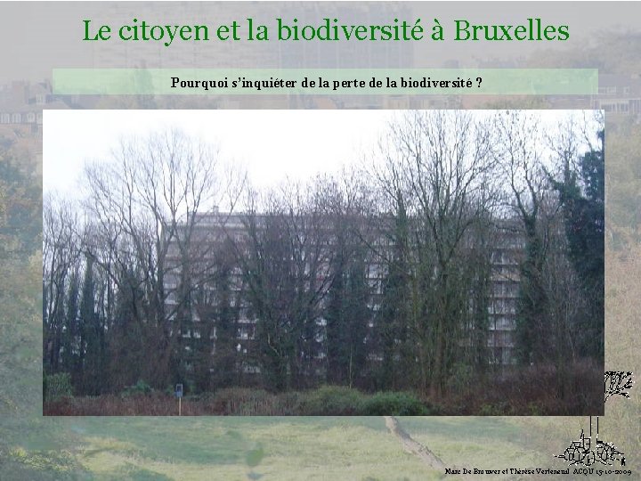 Le citoyen et la biodiversité à Bruxelles Pourquoi s’inquiéter de la perte de la