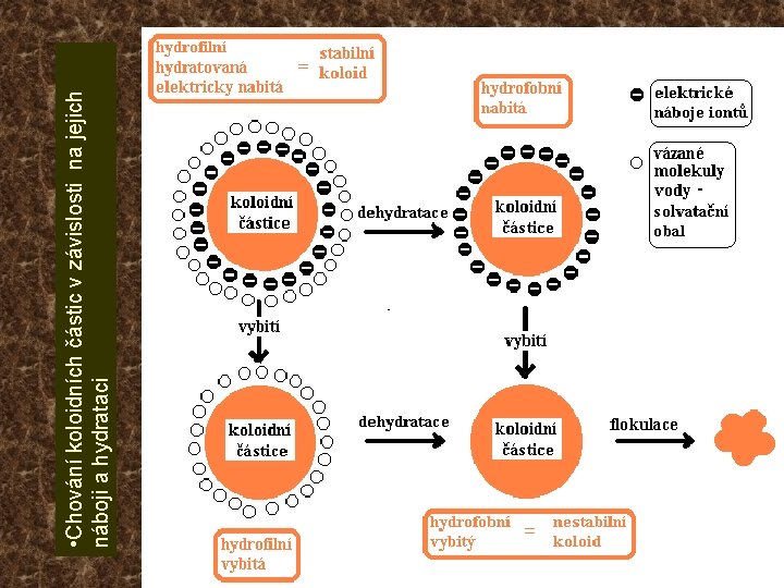  • Chování koloidních částic v závislosti na jejich náboji a hydrataci 